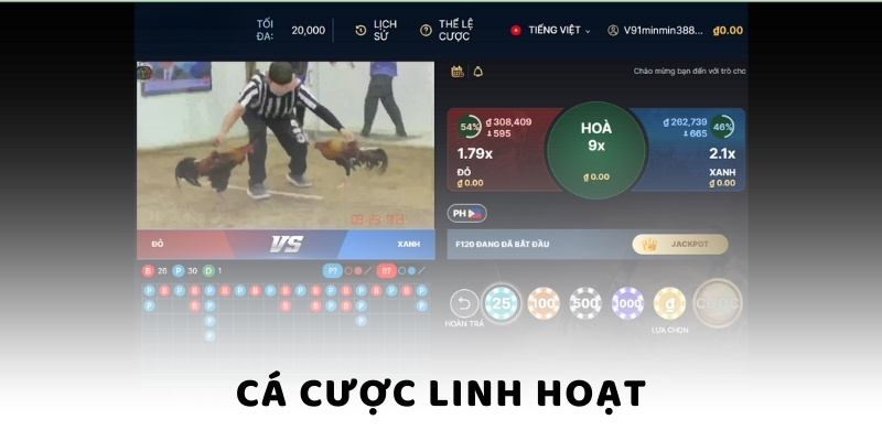 Đá Gà Cựa Sắt U888 Trải Nghiệm Đấu Trường Đỉnh Cao Cá cược linh hoạt tại đá gà cựa sắt U888